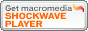Macromedia Shockwave �_�E�����[�h